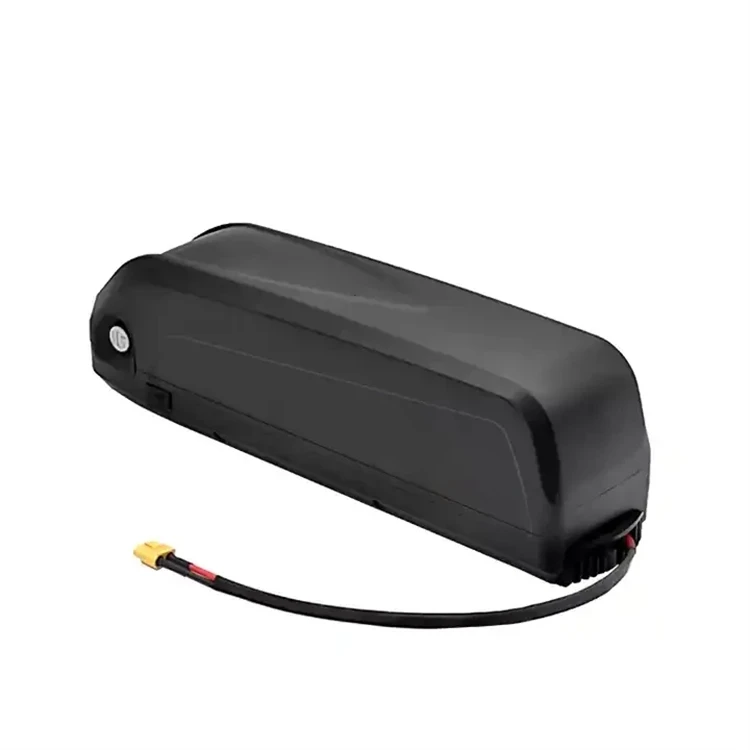 Hailong Ebike Battery