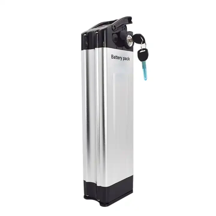 Silver Pwason Battery 36v