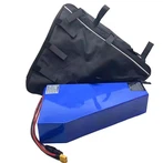 Triyang Ebike Battery 48V