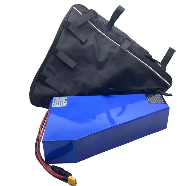 Triyang Ebike Battery 48V